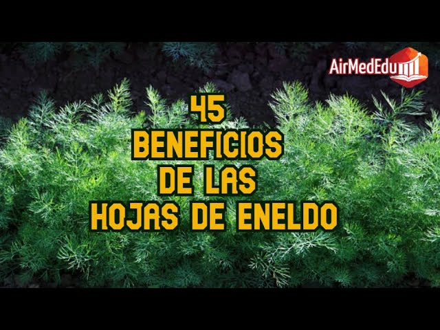 eneldo en catalan